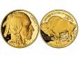 La moneta d'oro Buffalo americana